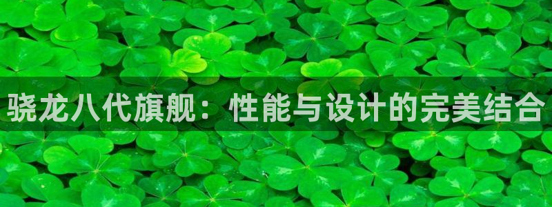 人生就是搏体育游戏：骁龙八代旗舰：性能与设计的完美结合
