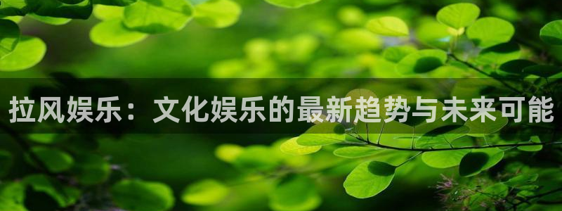 人生就是搏体育老板是谁：拉风娱乐：文化娱乐的最新趋势与未来可能