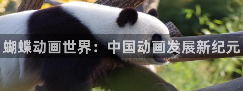 人生就是搏3登录：蝴蝶动画世界：中国动画发展新纪元