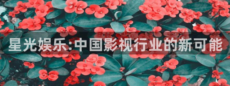 人生就是搏f凯捷注册：星光娱乐:中国影视行业的新可能