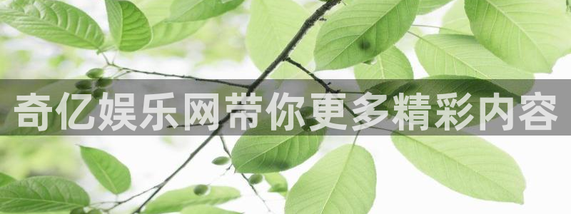 人生就是搏体育平台注册：奇亿娱乐网带你更多精彩内容