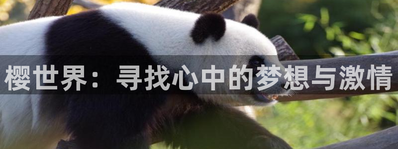 人生就是搏体育凯捷平台代理：樱世界：寻找心中的梦想与激情