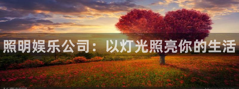 人生就是搏2平台登录：照明娱乐公司：以灯光照亮你的生活