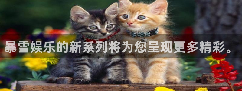 人生就是搏3官网：暴雪娱乐的新系列将为您呈现更多精彩。