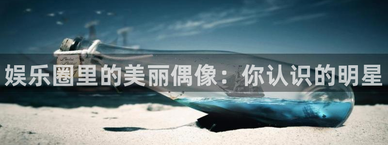人生就是搏4：娱乐圈里的美丽偶像：你认识的明星