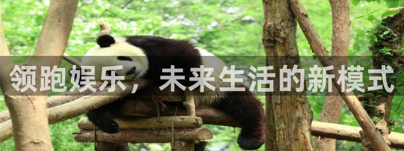 人生就是搏集团股票：领跑娱乐，未来生活的新模式