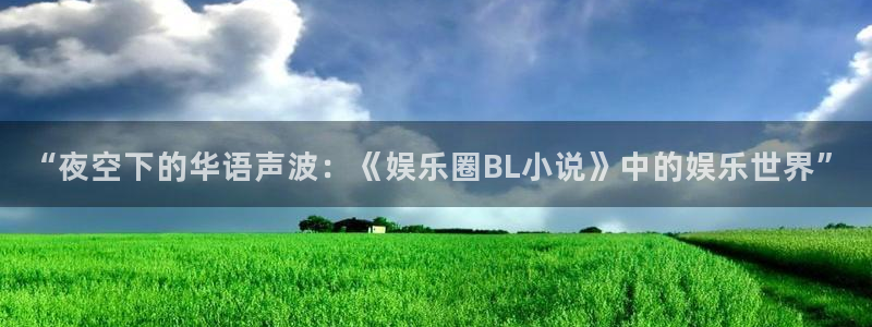 人生就是搏官网注册：“夜空下的华语声波：《娱乐圈BL小说》中的娱乐世界”