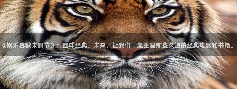 人生就是搏代理：《娱乐春秋未删节》：回味经典，未来，让我们一起重温那些久违的经典