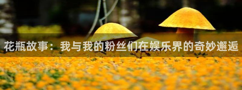 人生就是搏体育热门赛事有哪些：花瓶故事：我与我的粉丝们在娱乐界的奇妙邂逅
