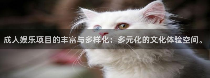 人生就是搏体育凯捷登陆：成人娱乐项目的丰富与多样化：多元化的文化体验空间。