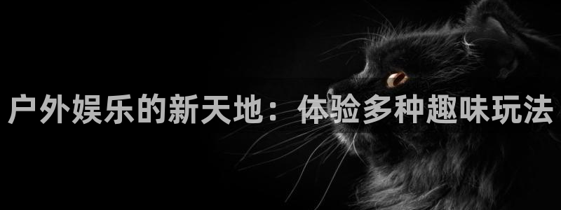人生就是搏5招商：户外娱乐的新天地：体验多种趣味玩法