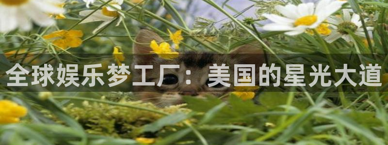 人生就是搏官网注册：全球娱乐梦工厂：美国的星光大道