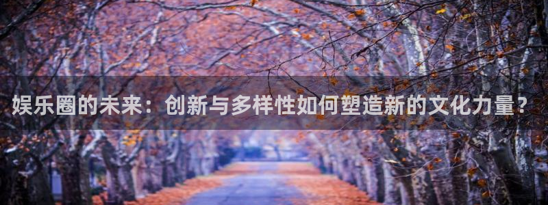 上海人生就是搏汽车电子有限公司：娱乐圈的未来：创新与多样性如何塑造新的文化力量？