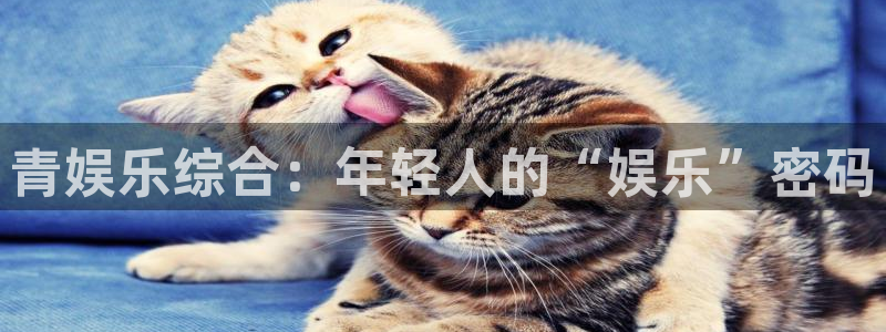 福建人生就是搏机电股份公司：青娱乐综合：年轻人的“娱乐”密码