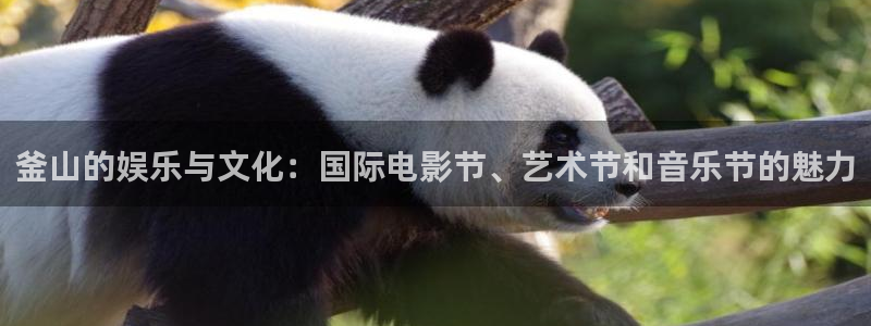 人生就是搏4平台注册：釜山的娱乐与文化：国际电影节、艺术节和音乐节的魅力