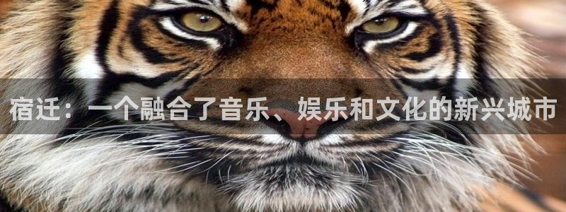 人生就是搏体育用品