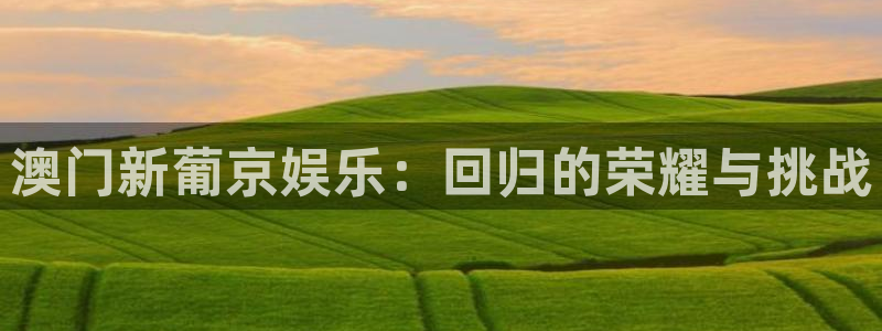 人生就是搏零能源集团