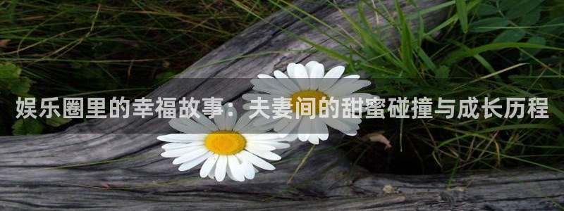 人生就是搏平台开户链接