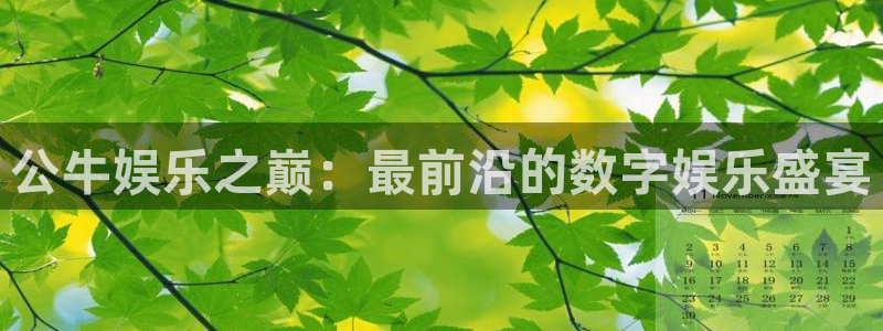 人生就是搏2平台注册：公牛娱乐之巅：最前沿的数字娱乐盛宴